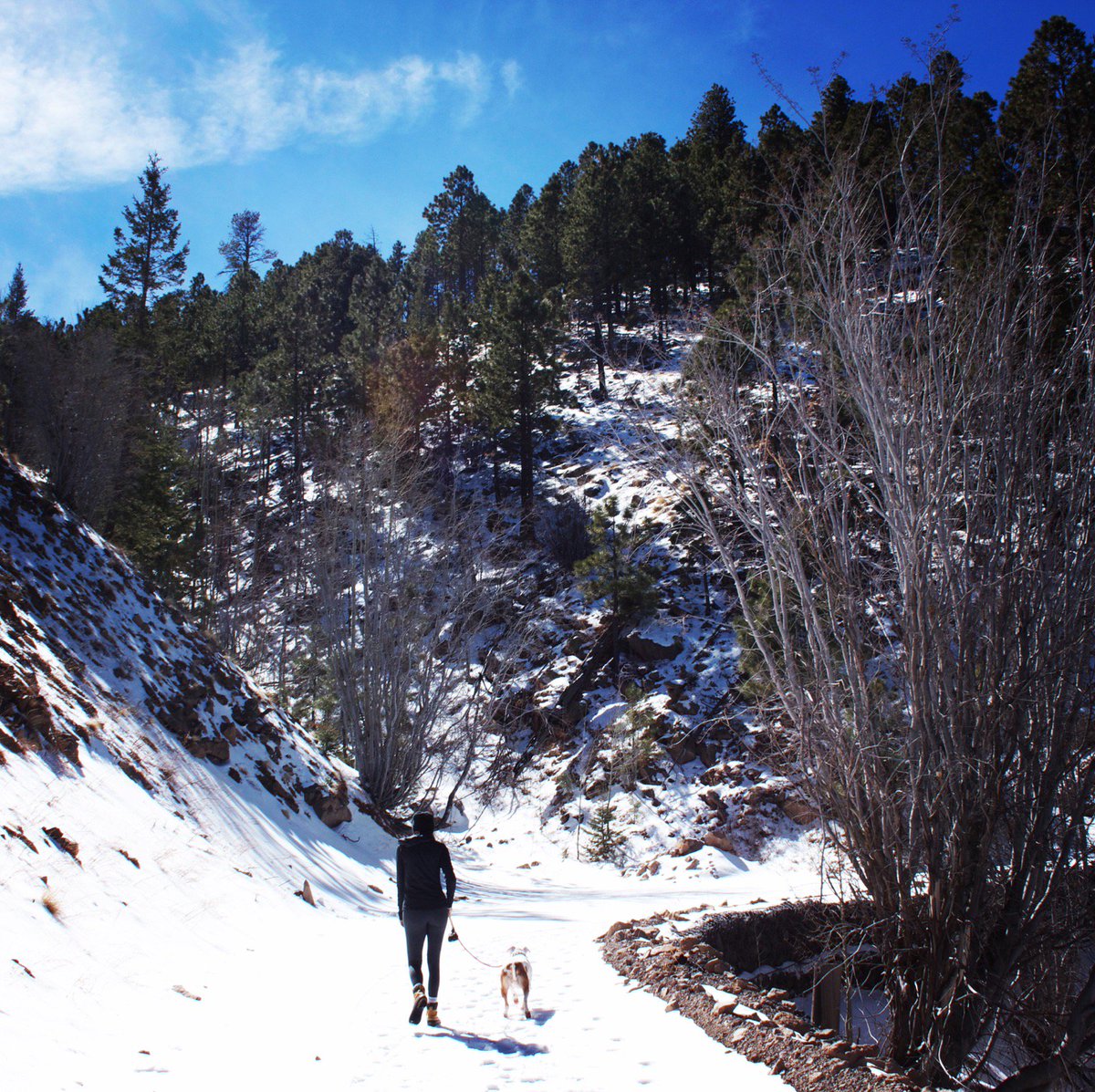 prAna's tweet photo. We make sustainable clothing for whatever you practice, designed from our own experience, & created to help you achieve all of yours. Meet some of the people behind prAna & the hobbies, disciplines, experiments, & first-attempts they are improving on every day. #lifeispractice https://t.co/hv456bsa27