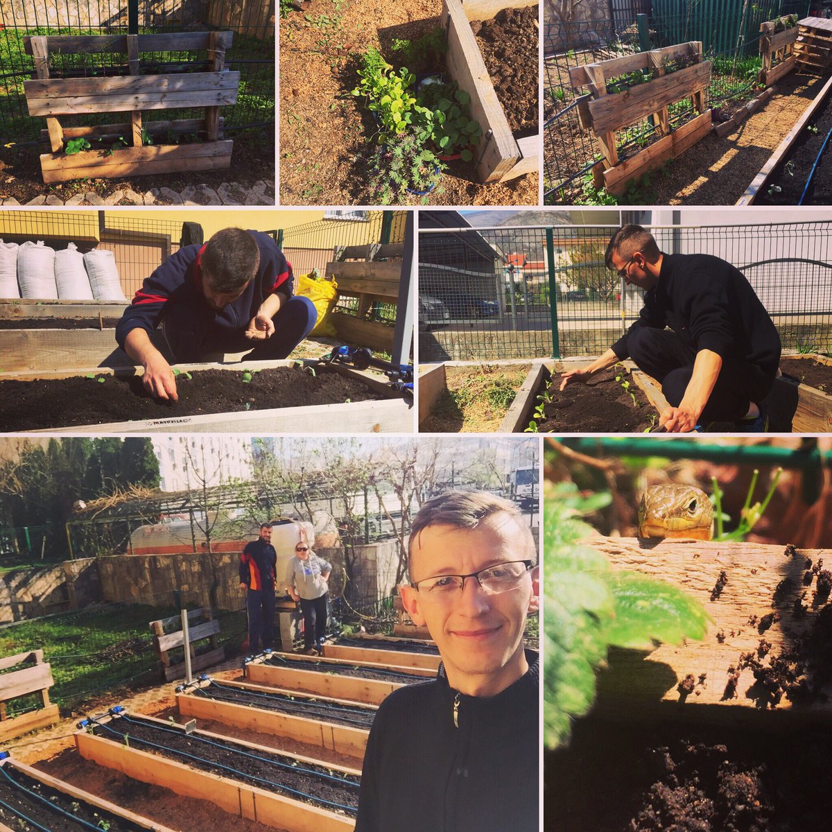 Sanja Dermanovic On Twitter Starting Spring With Planting In