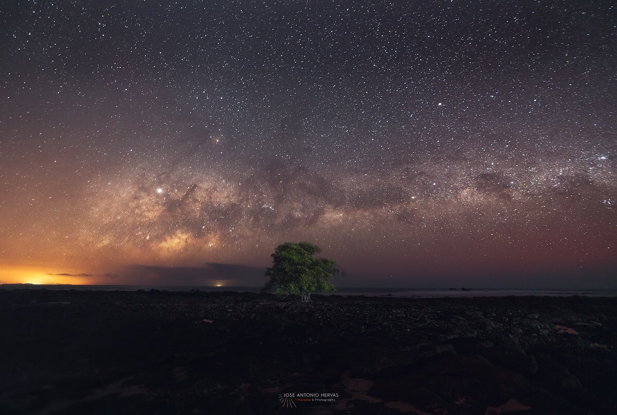 El árbol de Dios, así lo llaman a este pequeño manglar que vive prácticamente dentro del mar. 
Entre estas fotos hay 3 horas de diferencia, todo captado mediante un Timelapse.