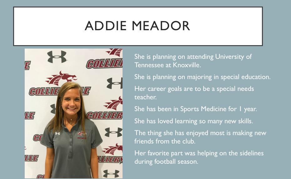 CVilleSportsMed's tweet photo. Today's Sports Med Student Aide for National Athletic Training Month is Addie Meador! She will be the only returning senior next year. If you see her in the hallways and are interested in the Sports Med Club next year let her know! #NATM2019 #ATforthewin @TNATA #OrthoOne https://t.co/osQdOGHT4w