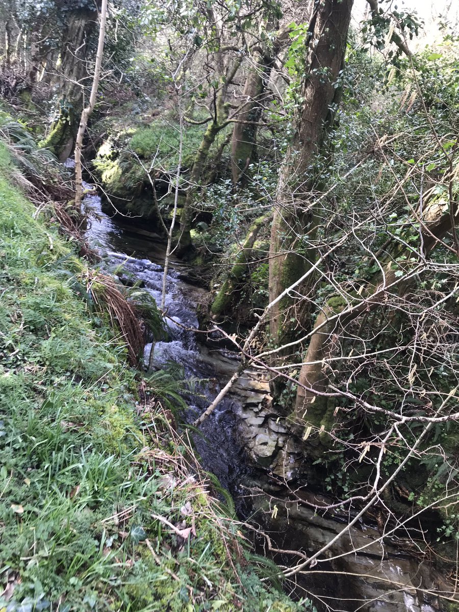 BroadberryMiss's tweet photo. Had such a lovely morning on the annual welly walk with my placement school, a great chance to get to know the children and see the beautiful Manx countryside https://t.co/bBlMYwTUsq