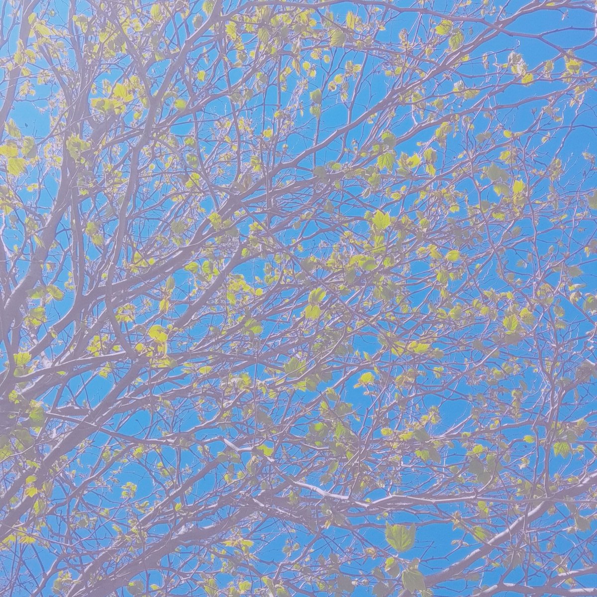 aesthetichoe_96's tweet photo. S p r i n g .
#mood #photography #nature #spring #sunny #outside #snowcamera #xiaomiphotography #aesthetic https://t.co/jyQxbVSLdk