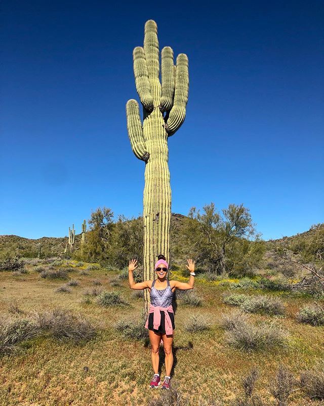 Little_Lew_Fit's tweet image. Looking sharp! #deserthike #cactusparty ift.tt/2Y8QgH7