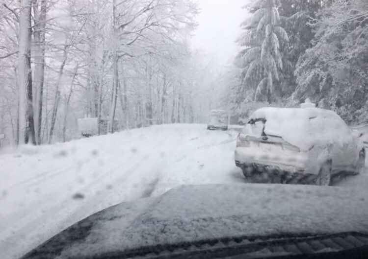 WintergreenPol1's tweet photo. Please do not drive to Wintergreen Mountain unless absolutely necessary. Our road crews are working as hard as possible, but the roads are still treacherous. Welcome to Spring! #springtwist #wintergreenresortva #WintergreenVA #vawx #varoads https://t.co/WFifhCj0yN