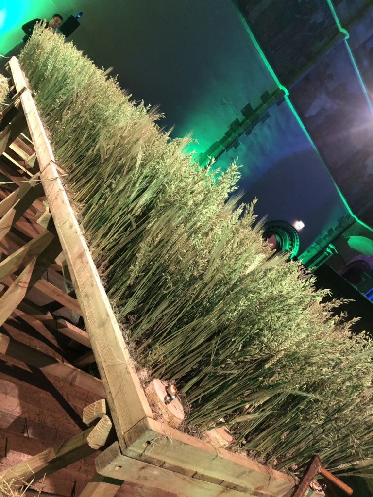 Amanda Ferguson tweet media