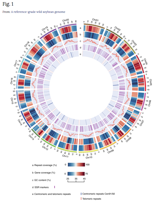 генетически модифицированные продукты. генномодифицированные продукты. фон агрономия. сою гене. гербицид устойчивая соя.