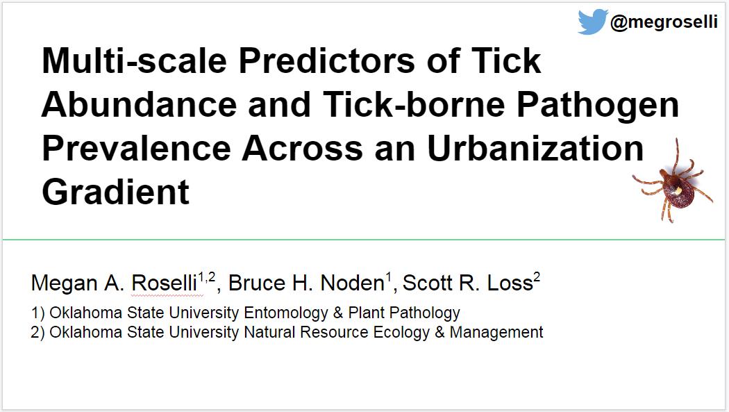 Megan Roselli tweet media