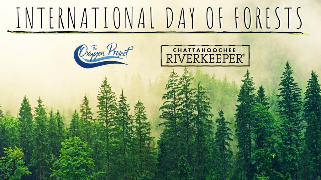 TheOxygenProj's tweet photo. Did you know just one tree produces nearly 260 pounds of oxygen each year? For #InternationalDayOfForests The Oxygen Project joins @CRKeeper in protecting our oxygen suppliers from an unlikely yet dangerous threat - Junk Mail!
#ThinkOxygen #StopTheJunk at https://t.co/PXAHEEcMUk https://t.co/gowOzhWKy0