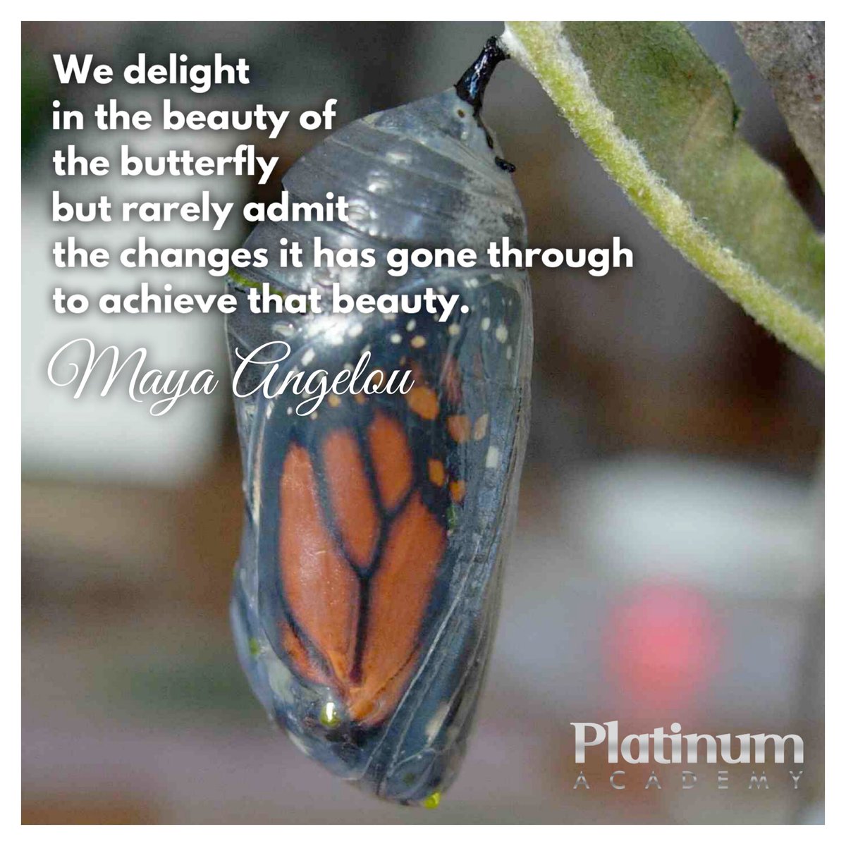 🌱 Har du glömt allt jobb du gjort, alla aspekter av dig själv du utvecklat, alla gånger du fallit och rest dig igen?
.
🍸Hörru! Boka in en fest för dig själv och uppmärksamma allt du åstadkommit och vem du blivit och framför allt - vem du är på väg att bli! 🦋