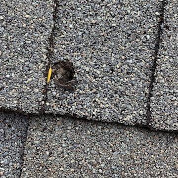 DLV_roofing's tweet photo. Things just got interesting here at DLV... Check out what our South Repair Crew discovered today! Surprisingly, this is not the first time we have run into a situation like this!
#oddfinds #asheville #roofing https://t.co/eLDWsxaEgE