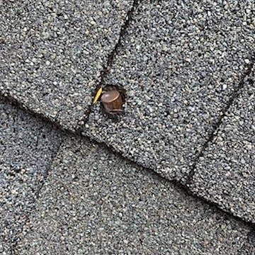DLV_roofing's tweet photo. Things just got interesting here at DLV... Check out what our South Repair Crew discovered today! Surprisingly, this is not the first time we have run into a situation like this!
#oddfinds #asheville #roofing https://t.co/eLDWsxaEgE