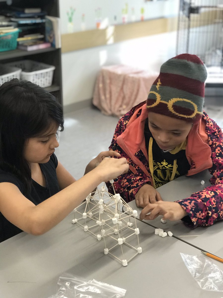 MissVancise's tweet photo. Who can make the sturdiest houses for the Three Little Pigs? Our future architects/engineers/mathematicians/scientists can! @Connaughtcomets #youngscientists #STEAMintheclassroom #stemchallenge #structures https://t.co/30E6bnFOMq