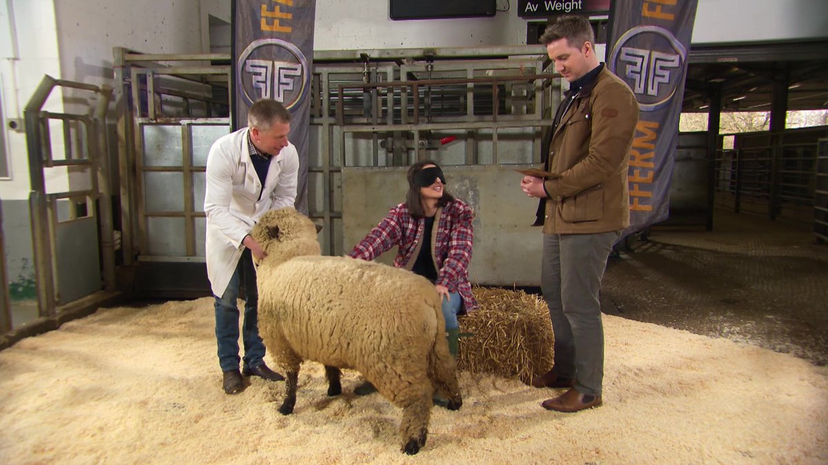 Fferm Ffactor tweet media