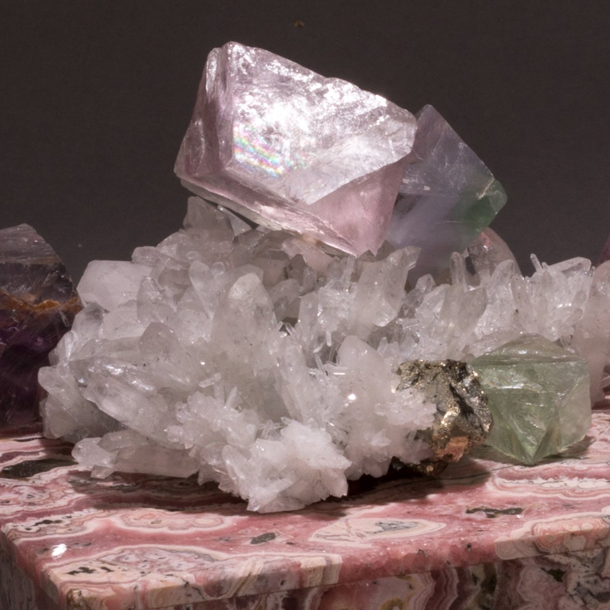 StudioGreytak tweet media