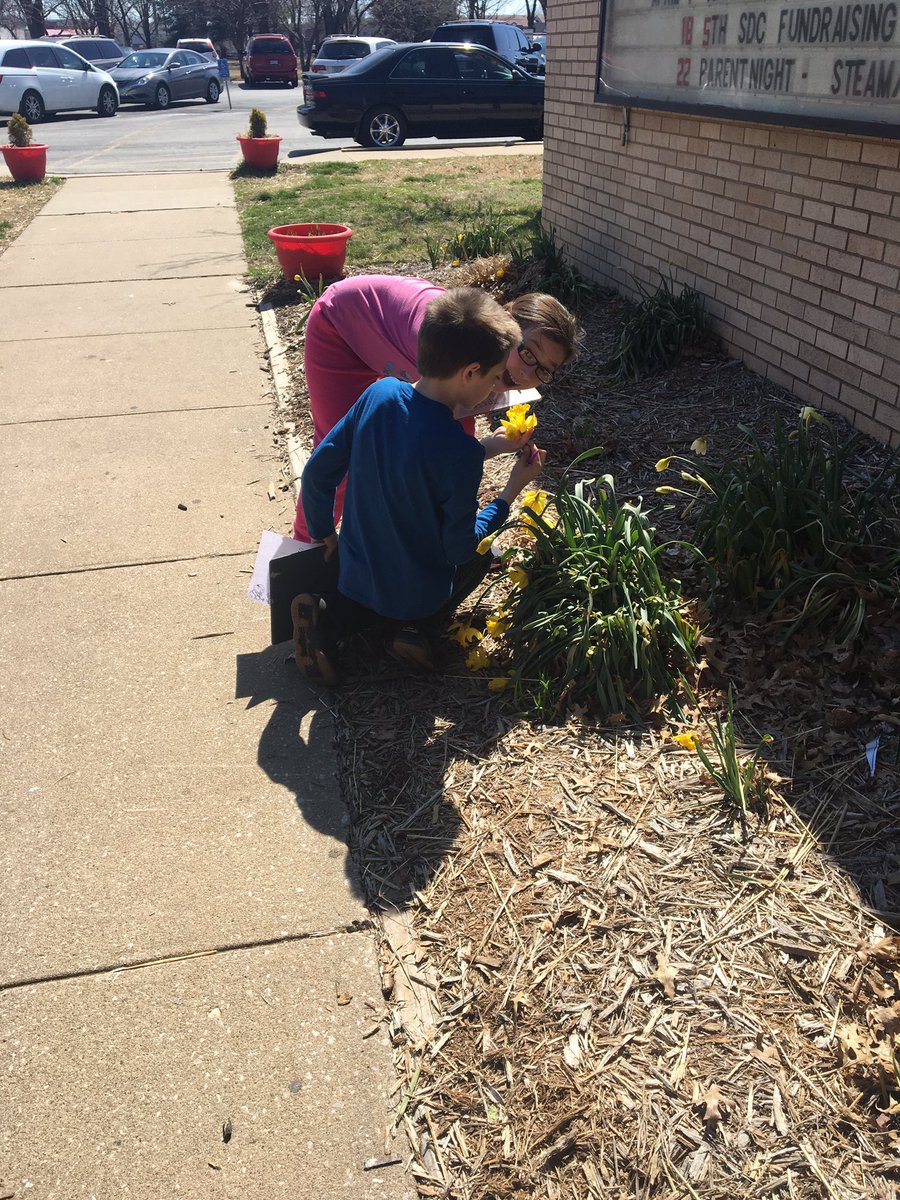 CowdenSPS_3rd's tweet photo. Enjoying our SPRING observation walk! #welcomespring @CowdenSPS_3rd @CowdenSPS https://t.co/w5644elBsQ