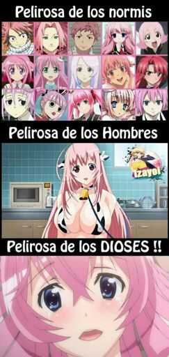 Black Cat Blackca Twitter Black Cat Blackca Twitter