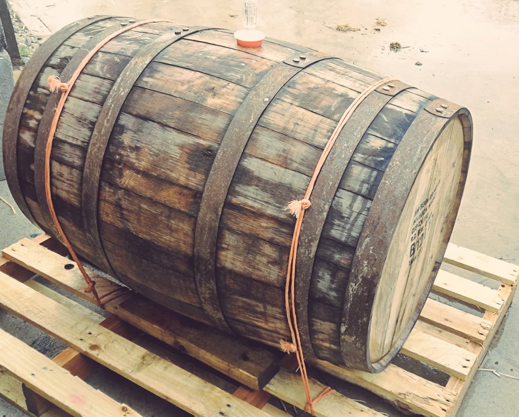 RavenHillBrew's tweet photo. Our Cherry Saisons been transfered to this wooden barrel and stored away for 6 months. Thanks to @Atombearbrew for helping with the brew. #cherrysaison #barrelagedbeer https://t.co/TMDjGDGoyA