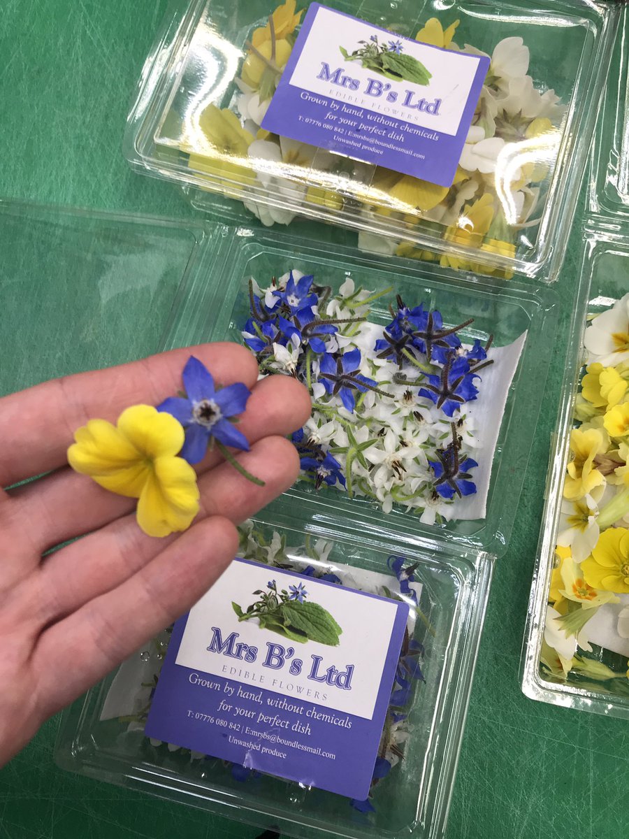 You can’t beat <a href="/BranaganLisa/">Edible flowers@MrsBs</a> for flowers, herbs and cress #Wirral #local #chef