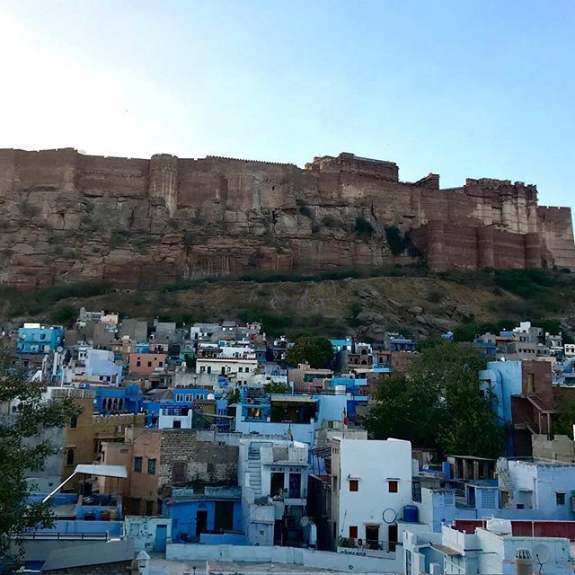 RachelKlein's tweet photo. Jodhpur 💙 #bluecity #rajasthan #india https://t.co/OPXPgquPDF https://t.co/uXZz4Wgm36
