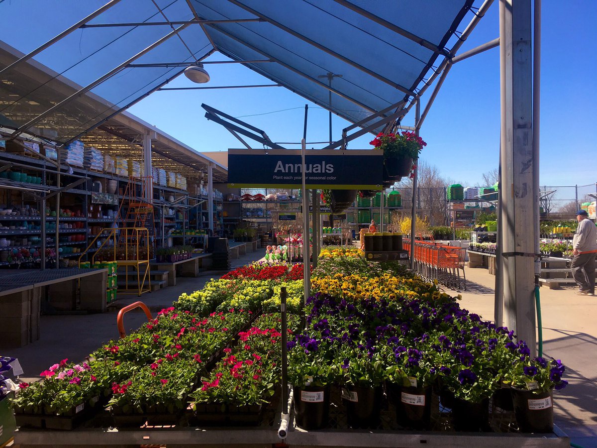 AWDWEBB02's tweet photo. I don’t mean to Toot the Horn, but our flowers at #3906 are the Best around https://t.co/Angto6V6WE
