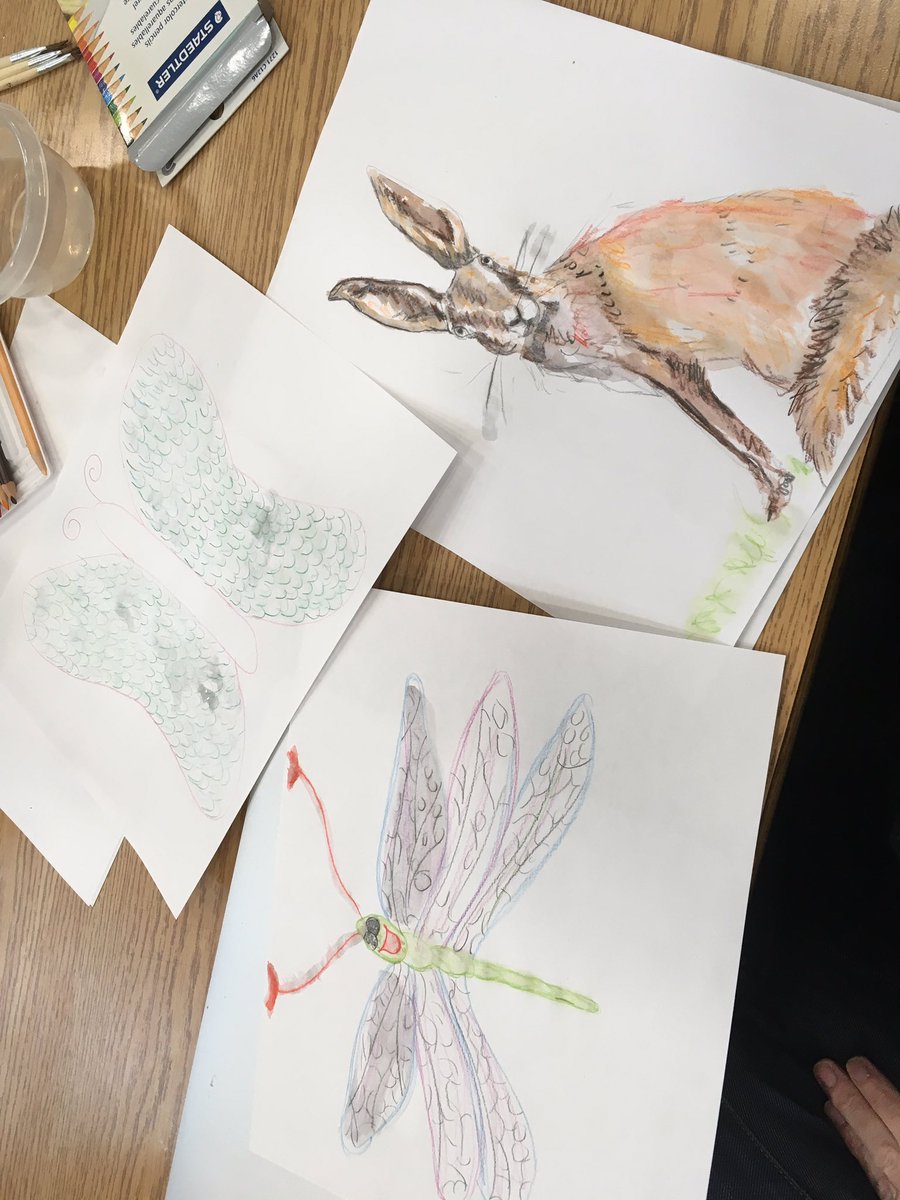 YRDSBGetOut's tweet photo. Teacher participants in our @CWF_FCF ProjectWILD training used their artistic skills to create their own creatures to demonstrate their understanding of animal adaptations - a modification of the “Adaptation Artistry” activity #yrdsboutside https://t.co/oItsAKcW48