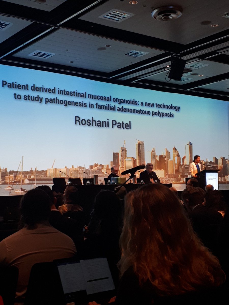 Roshani Patel presenting our FAP organoid work #InSiGHT2019