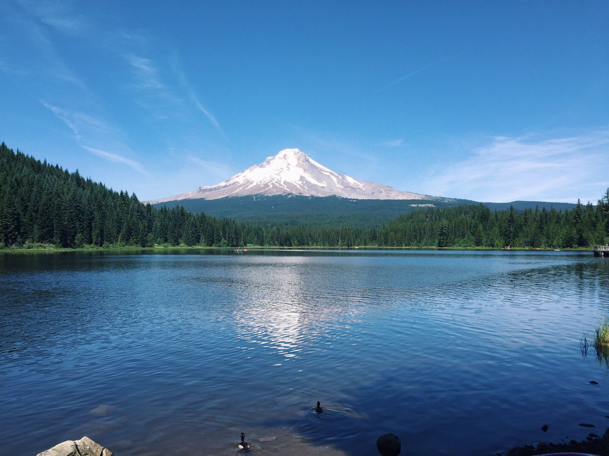 SwiftTrinity's tweet photo. You could say I’ve got a bit of a thing for Oregon https://t.co/BxfJ16vKmn