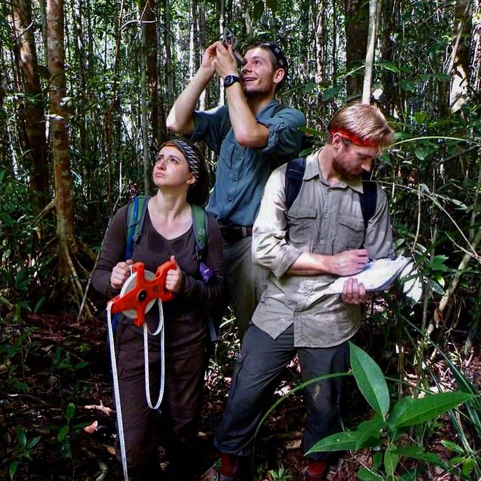 #ForestEcology & #PrimateBehavior & #paleoenvironment, oh my! We have a number of #EnvironmentalStudies #fieldsschools this year, all with different #research. Stay tuned for the next 7 days to learn about each one! See our ES programs 👉 bit.ly/2HQskCJ @BorneoNature