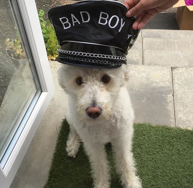 UltrasoundEnts's tweet photo. Poppy modelling one of our props #goodgirl #selfie #walkies #photobooth https://t.co/uogKGUhNWe