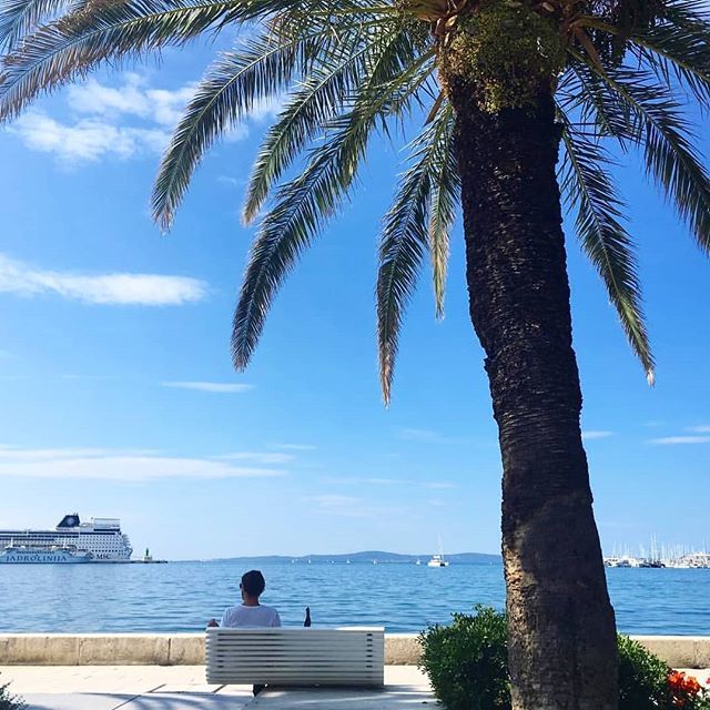 euroventure's tweet photo. Take us to Split right now! π ππ· π΄β£
β£
#splitcroatia #split #splitbeach #palmtreelife #visitcroatia #croatianbeaches #interrailing #interraileu #discovereurope #interraileurope #travelgoals #interrailtravel #traveleurope #backpackingeurope #studenttra⦠https://t.co/GpFniXJbOb https://t.co/G8V0gJXqWE