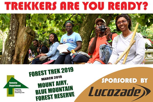 ForestryDeptJa's tweet image. TREKKERS, ARE YOU READY?

@lucozadeja will be on board to help keep you hydrated and energized along the trail.

Thanks for coming on board as our official drink sponsor @lucozadeja.          
#SponsorHighlight
#ForestTrek2019
#ForestryDeptJa 
#FitnessLifestyle
#Hiking