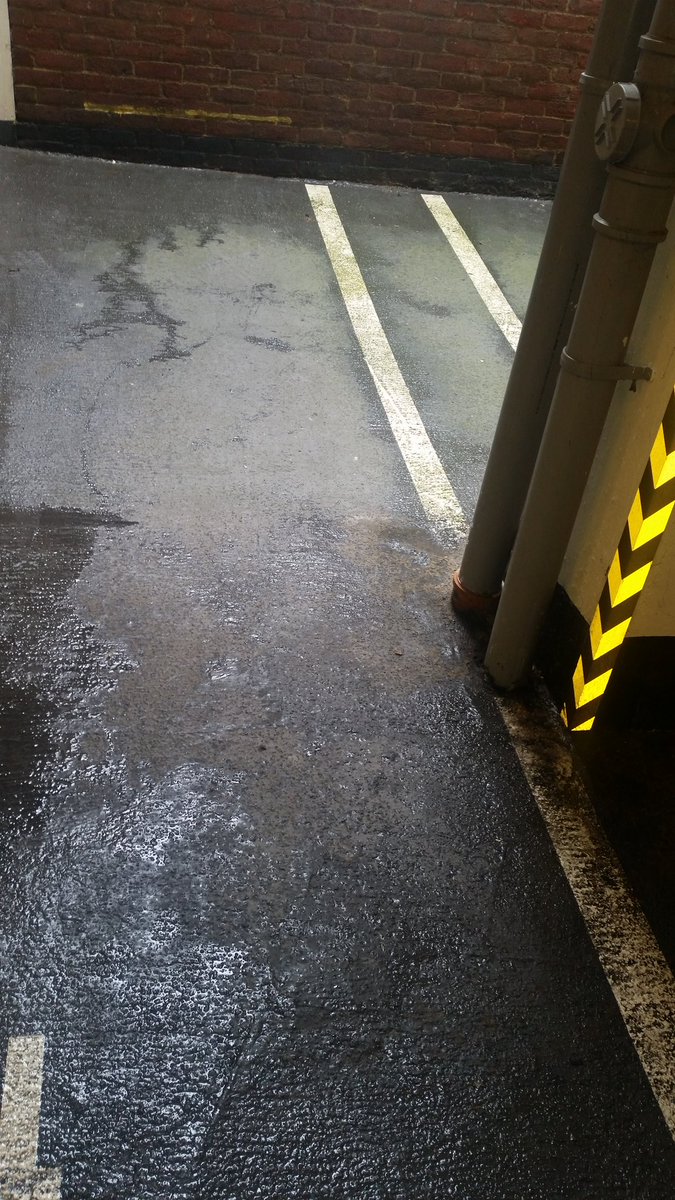 Rex Cleaning & Maintenance (Rexcleaning) Twitter