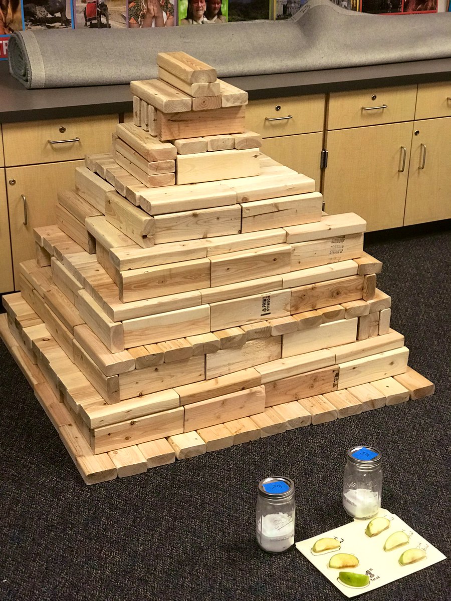 MrFraserPRMS's tweet photo. When you GOT to improve that mummification lesson from last year @PollyRyonMS . Mummified apples and built a miniature pyramid. Every shareout, every right answer, and every offer to read aloud during ALL classes got a block! #LotsOfHands #ClassParticipationActivated #prmsrocks https://t.co/eI5WQ5Gjsy