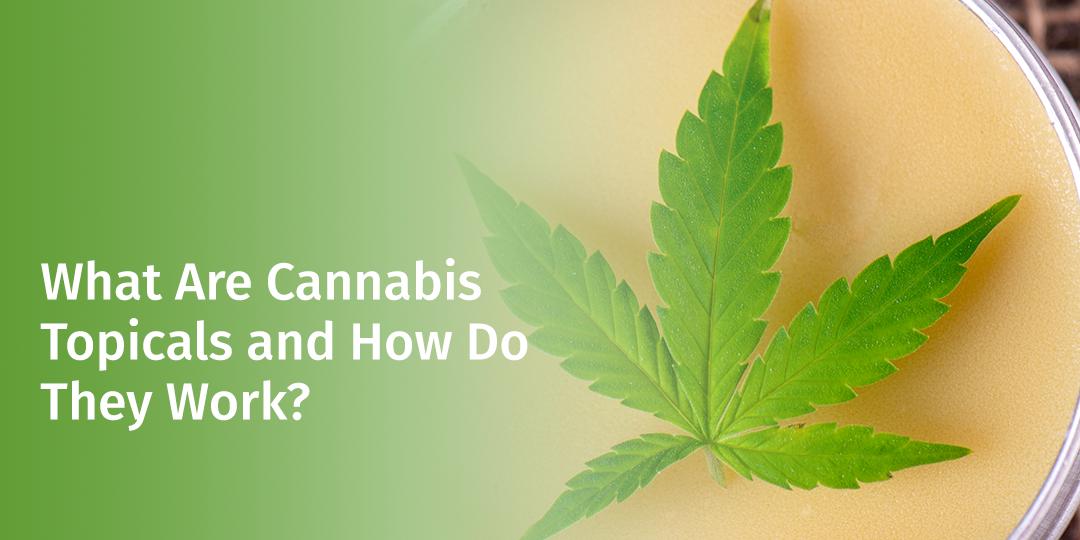 Leafly's tweet photo. #Cannabis isn't just for your insides. Aches and pains, begone. Learn more about the topic(als) 👉https://t.co/2YEmUTwKBj https://t.co/RdDRKU30oF