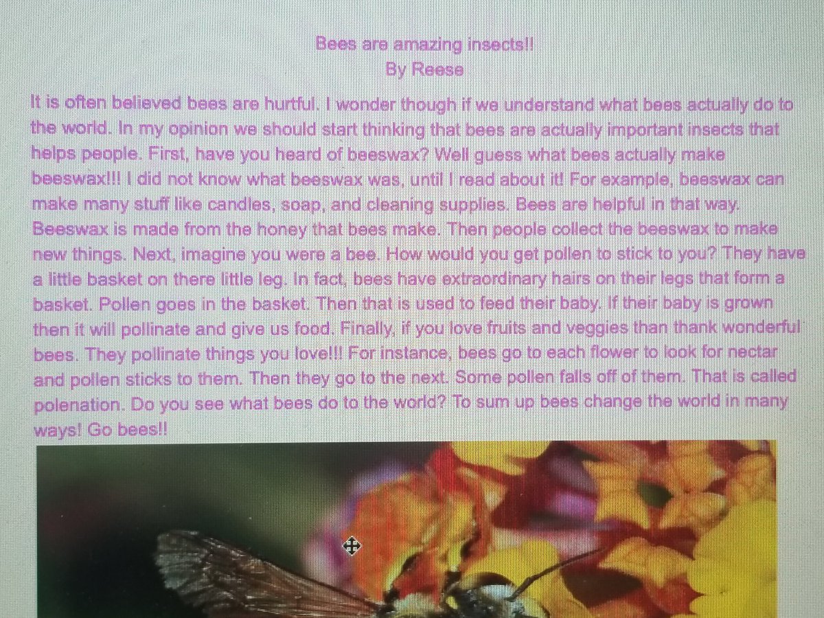 TeamSchar's tweet photo. They researched, they wrote, and they persuaded. These kiddos chose 1 of 2 animals that generally are perceived negatively, and they attempted to flip that perception! Just a few of the amazing pieces that convinced me! #2ndGrowsatFO #GrowAtFO #writingwithvoice https://t.co/cYvuhhgGaq