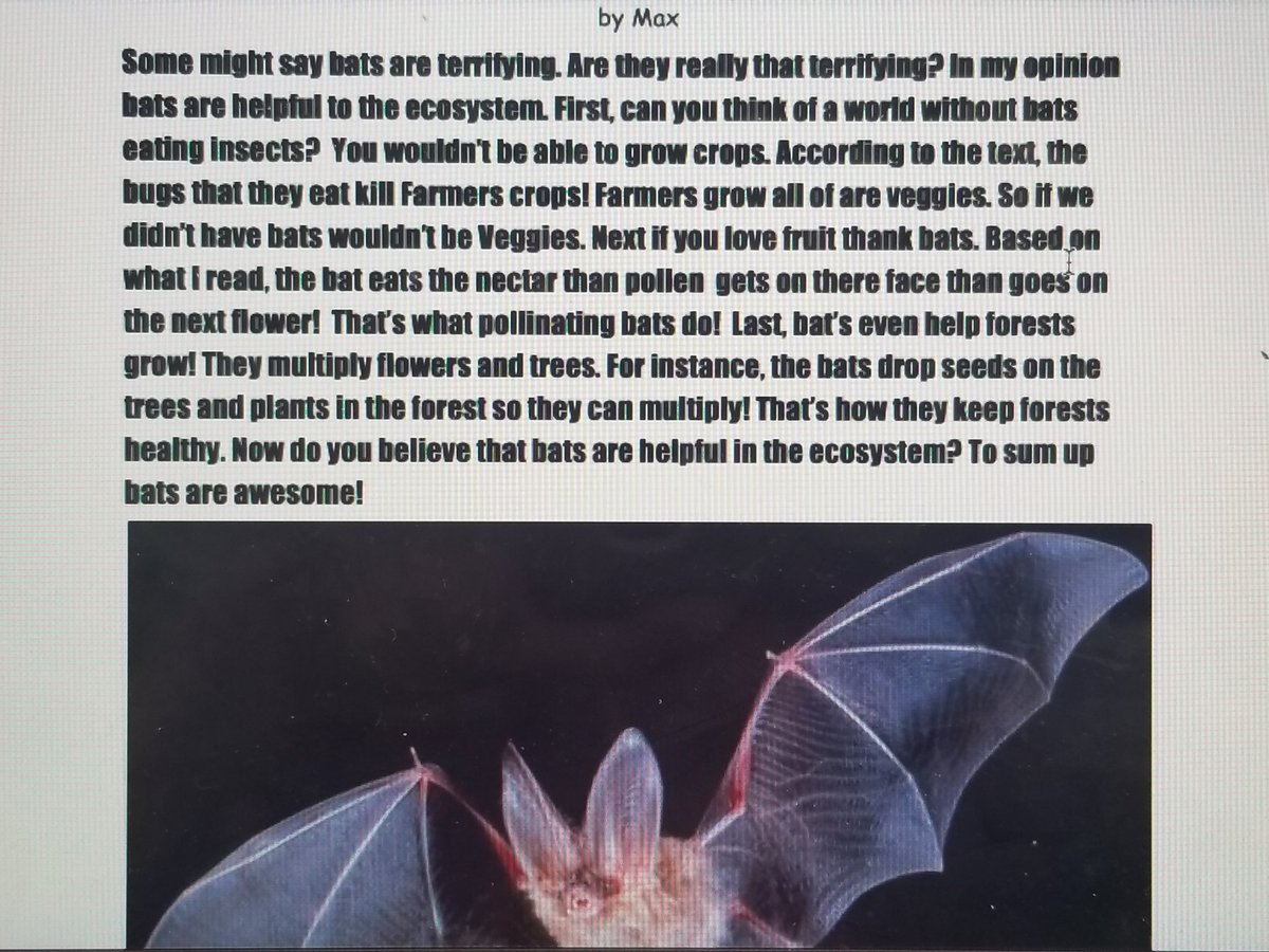 TeamSchar's tweet photo. They researched, they wrote, and they persuaded. These kiddos chose 1 of 2 animals that generally are perceived negatively, and they attempted to flip that perception! Just a few of the amazing pieces that convinced me! #2ndGrowsatFO #GrowAtFO #writingwithvoice https://t.co/cYvuhhgGaq