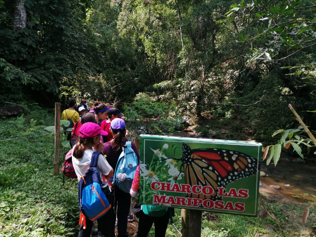 El día de hoy contamos con la grata visita de 140 estudiantes y docentes del Colegio Vermont de la ciudad de Bogotá, para realizar un recorrido por la Ciudad Perdida, con el fin de conocer esta riqueza natural e histórica con la que cuenta el Municipio de Falan.