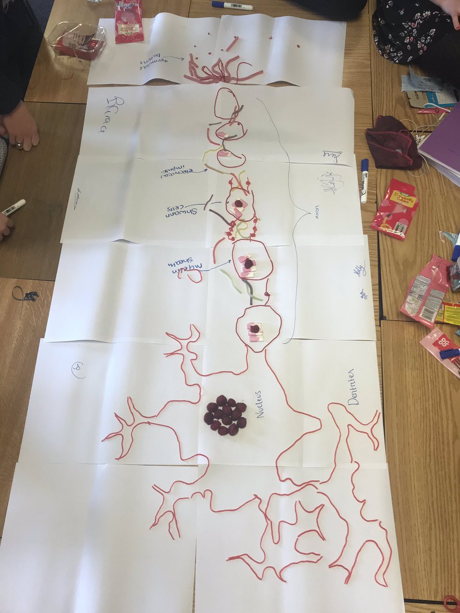 RGS_Psychology's tweet photo. The first of the annual sweetie neuron lessons🍭🍬12.1 #SafWasThereInSpirit https://t.co/itikFPpkFz