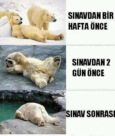 Şuan bu durumdayım😅