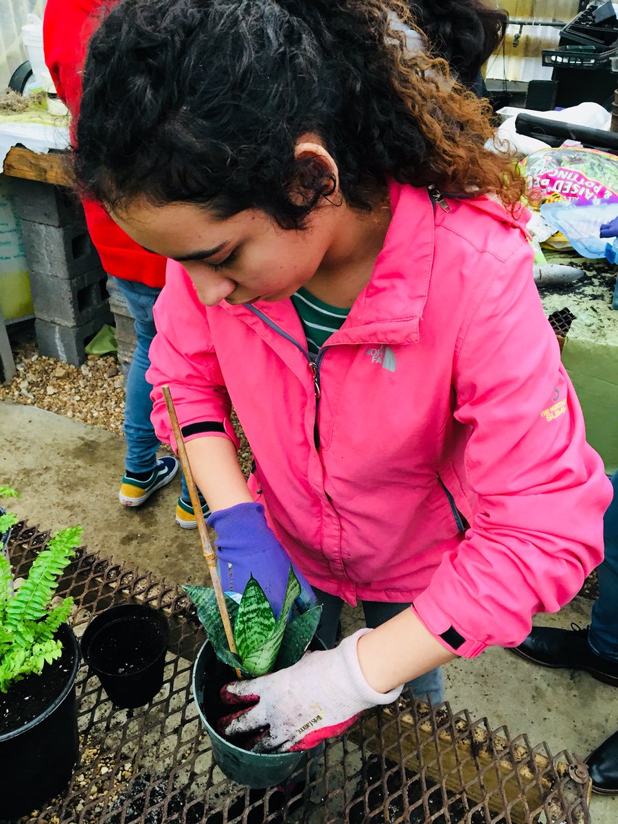 CTEResource's tweet image. Planting fun with @ACCHilt_Inst @AcadAcademy @cynkotakis for our indoor air quality study @APSCareerCenter @EcoActionArl #apsgreen
