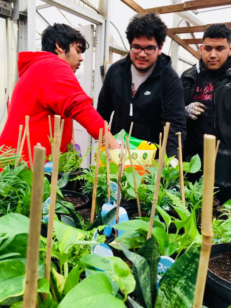 CTEResource's tweet image. Planting fun with @ACCHilt_Inst @AcadAcademy @cynkotakis for our indoor air quality study @APSCareerCenter @EcoActionArl #apsgreen