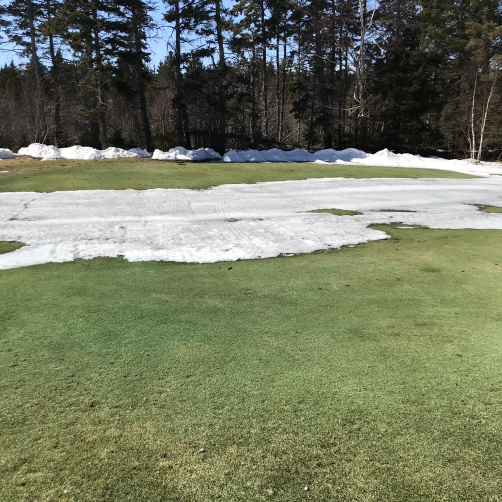 RusticoResort's tweet photo. Well it was a great day to take a walk around the course and see some GREEN!!! #2019golfseason https://t.co/uY8c71ohhy