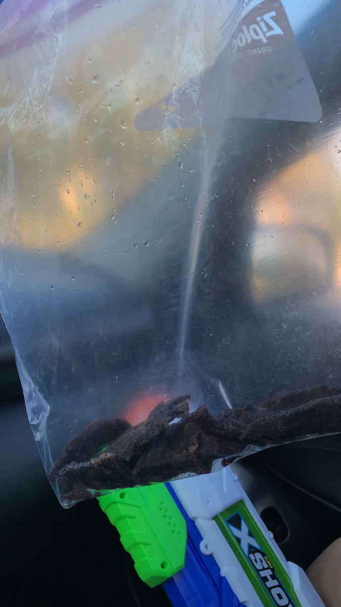 WATERBOIS2's tweet photo. We didn’t get him but we got his jerky @TheWildWildWet #hide https://t.co/kFNVHKWsSD