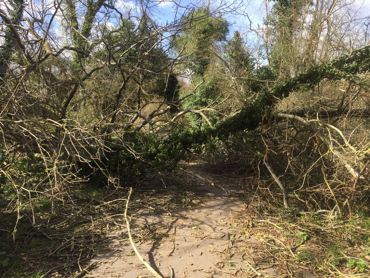 simon_pleace's tweet image. Tree down blocking footpath along river Medway between east Farleigh and Barming. @maidstonebc