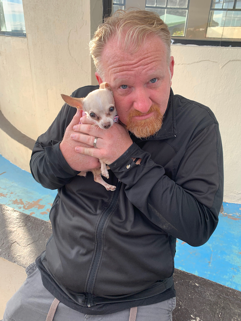SPSEnsenada's tweet photo. No seas un cachorro triste ... ¡inscríbete temprano para SharePoint Saturday Ensenada! Don't be a sad puppy...sign up early for SharePoint Saturday Ensenada! #SPSENS #SPLATAM #SharePoint https://t.co/x2E0kVxC6w
