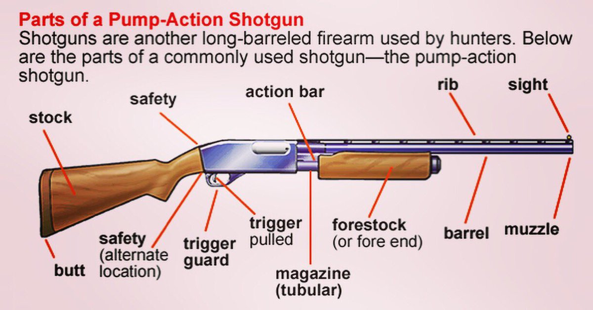 cofainc's tweet photo. Pump Action Shotgun - it’s a Non Restricted Firearm which is Commonly used by hunters. This picture is self explanatory and shows you different parts of a shotgun.  INTERESTED IN LEARNING MORE ABOUT FIREARMS ⁉️ Sign up today @cofainc  #CFSC #CRFSC #firearmstraining #license https://t.co/BkW3s1ba6p