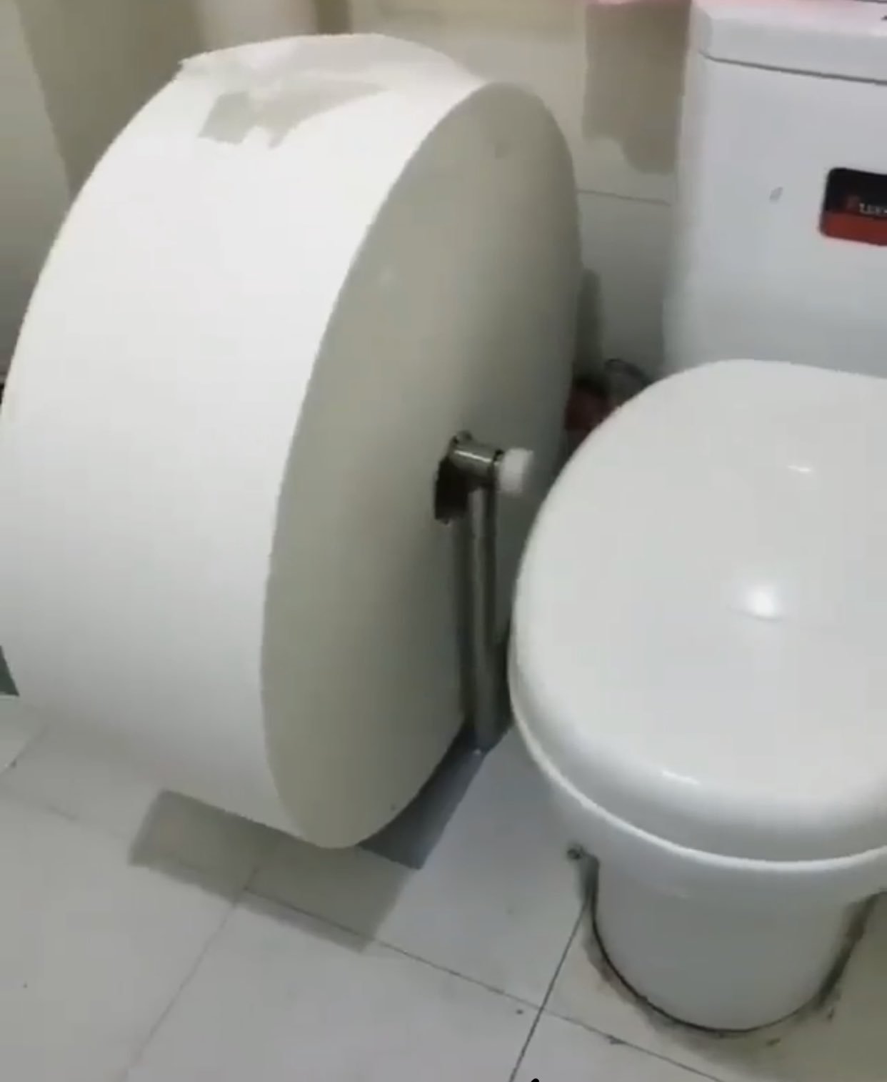 Огромная туалетная бумага