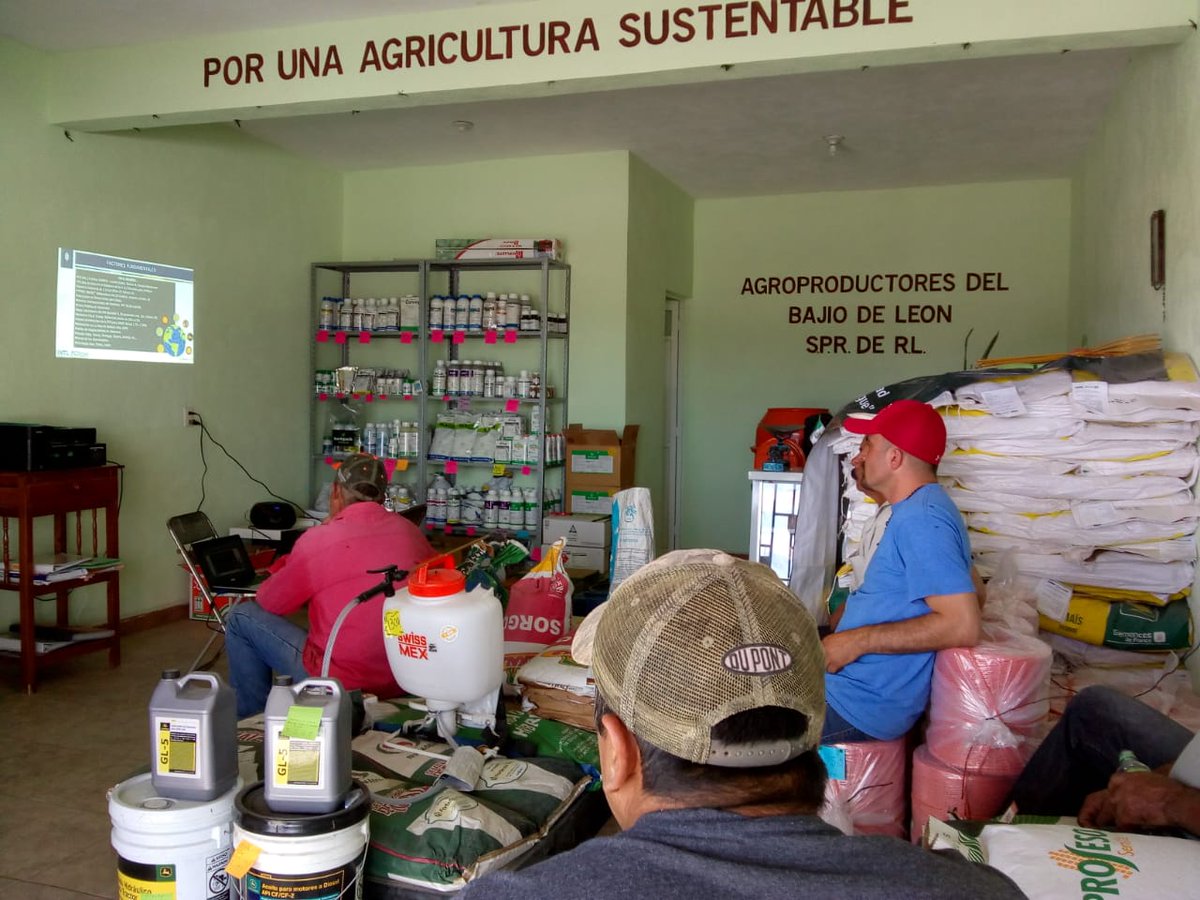 campogobgente's tweet image. La Coordinación de Comercialización hace innovaciones en las reuniones de los jueves, al trasmitir en tiempo real en diferentes Municipios y Organizaciones Económicas de Productores, la información de mercados y los aspectos que forman parte de la comercialización agropecuaria.