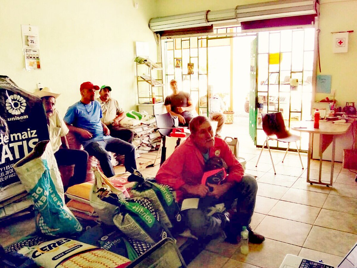 campogobgente's tweet image. La Coordinación de Comercialización hace innovaciones en las reuniones de los jueves, al trasmitir en tiempo real en diferentes Municipios y Organizaciones Económicas de Productores, la información de mercados y los aspectos que forman parte de la comercialización agropecuaria.