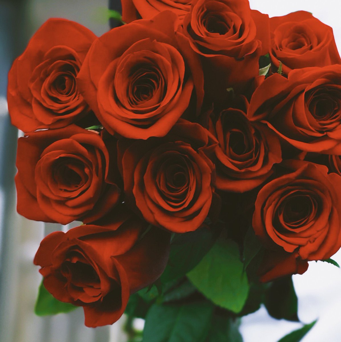 My life allows me to capture beautiful moments. ⚡️⚡️⚡️RACISMDIE.COM